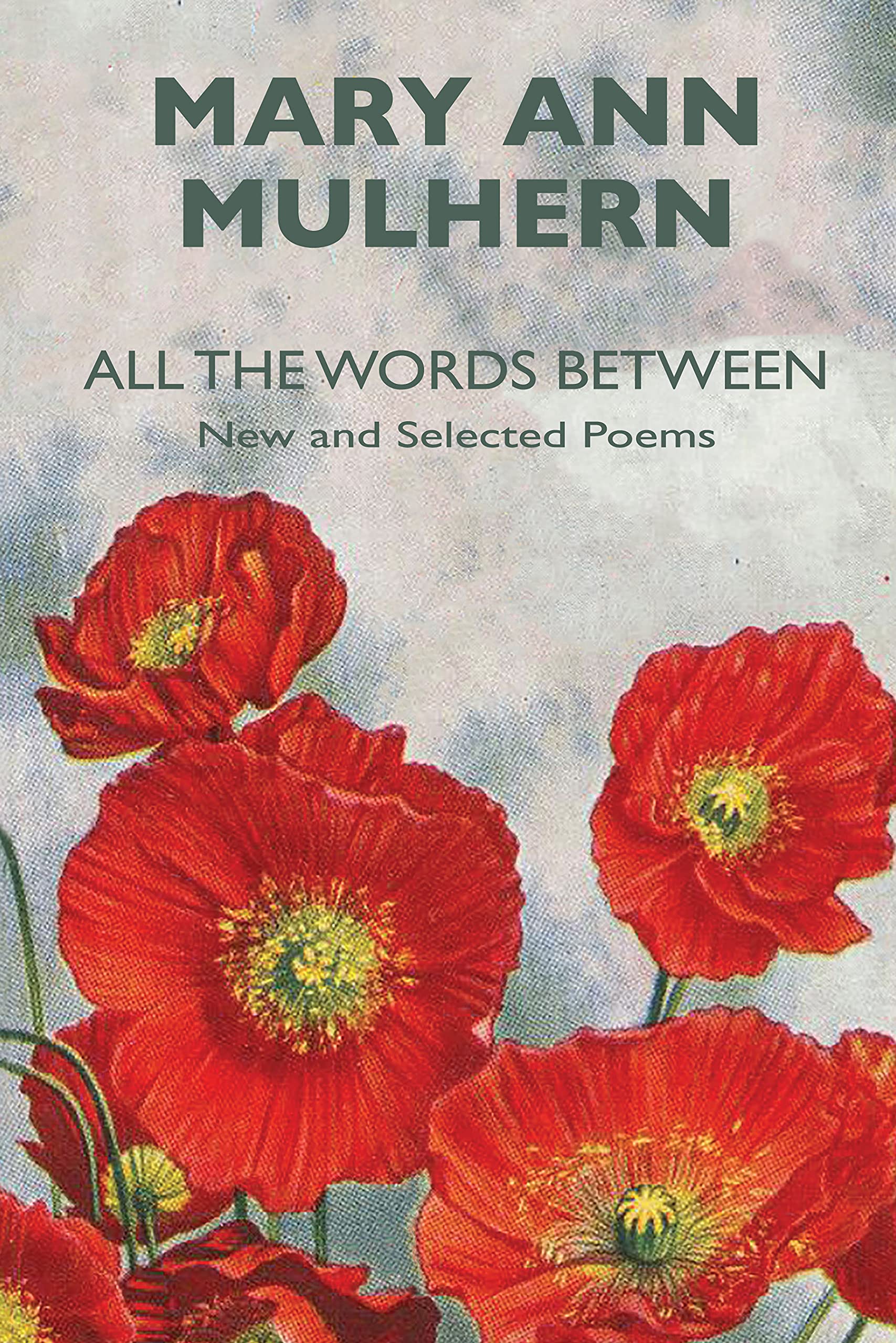 All the Words Between