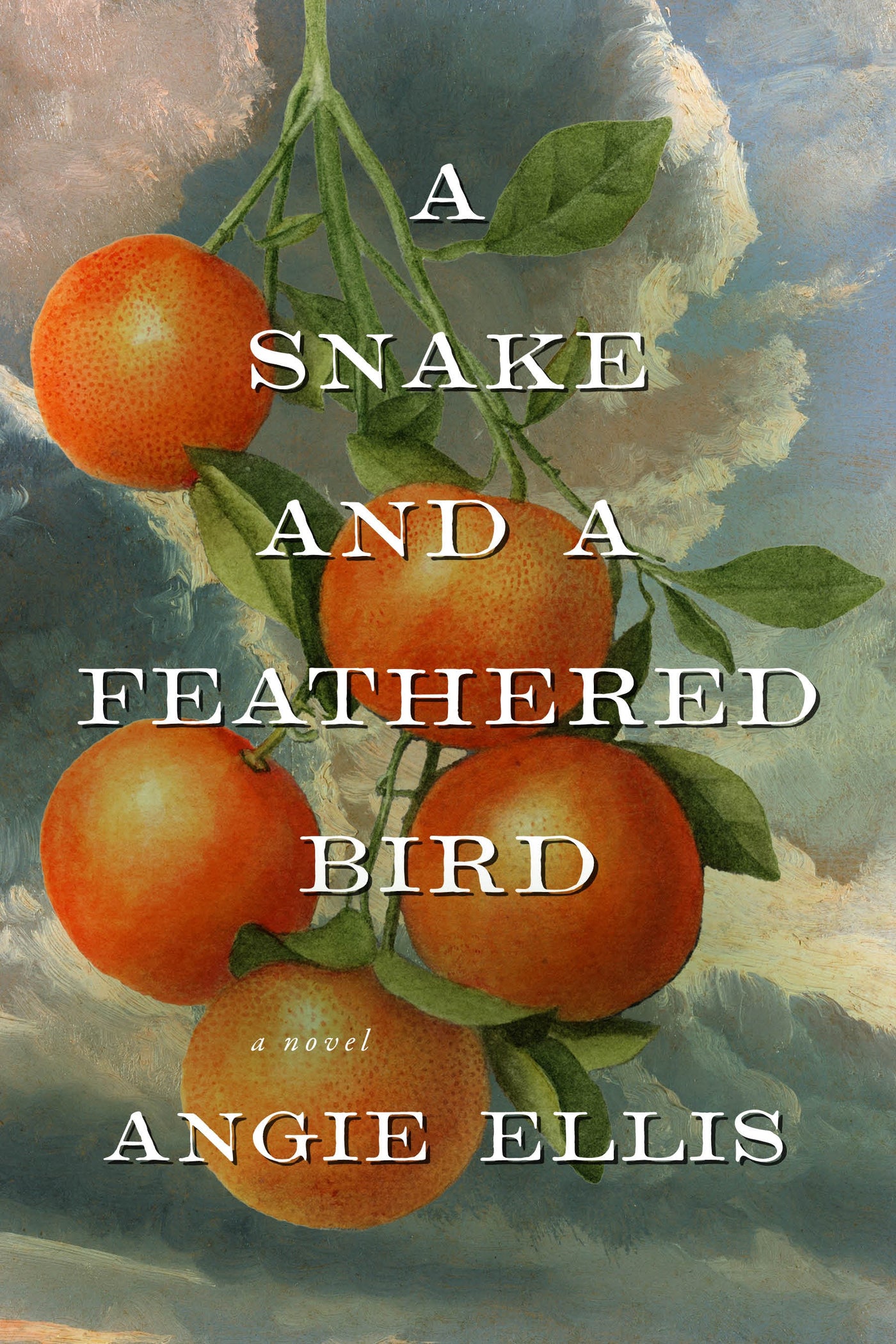 A Snake and a Feathered Bird