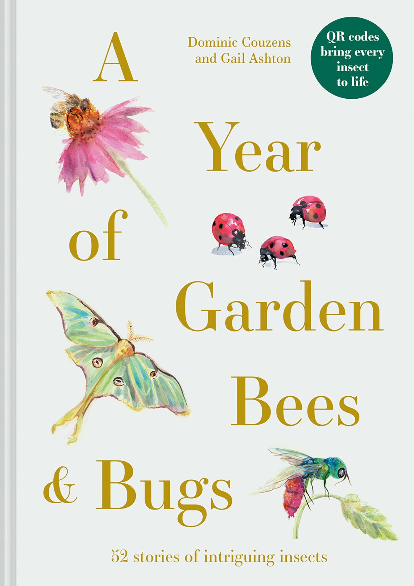 A Year of Garden Bees &amp; Bugs