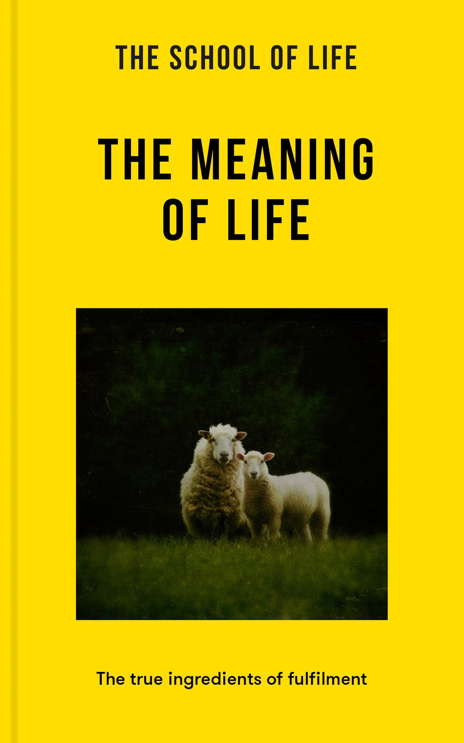 The Meaning of Life