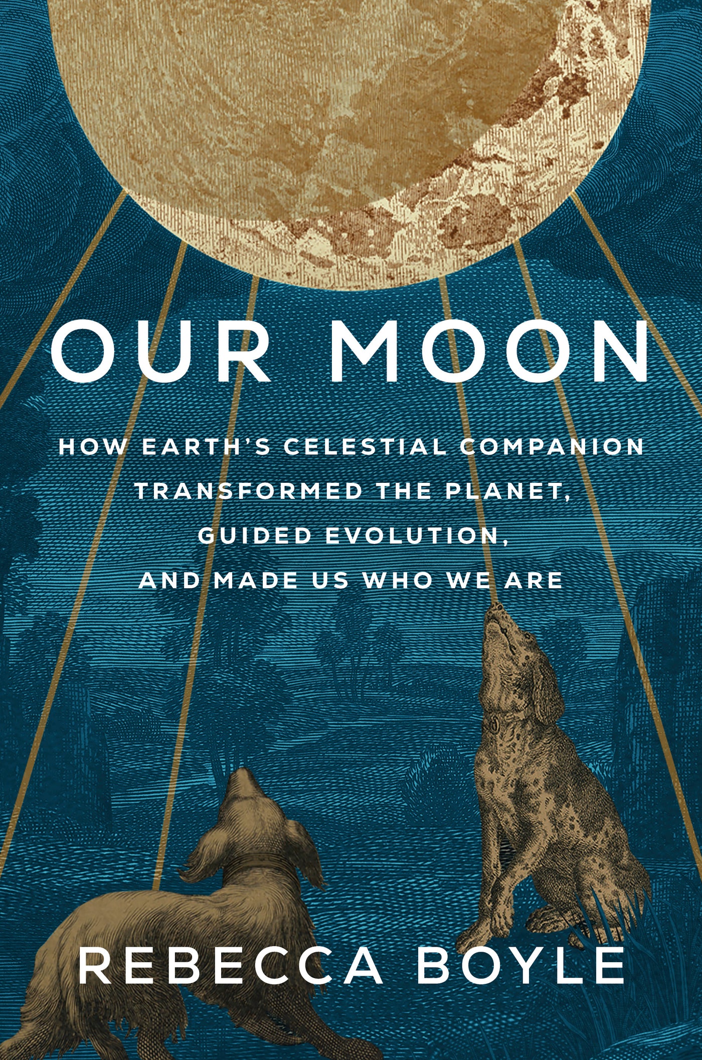 Our Moon