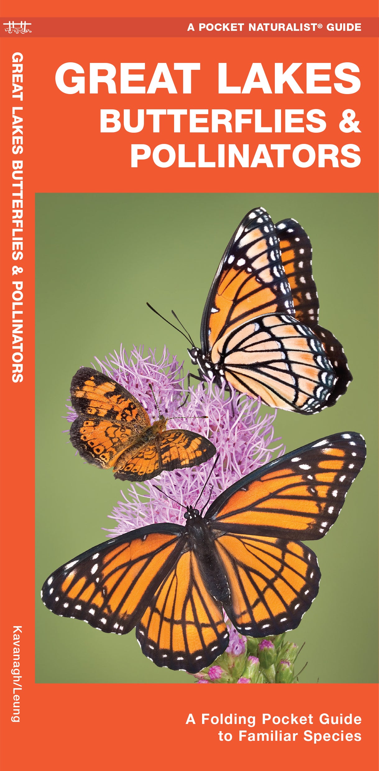 Great Lakes Butterflies &amp; Pollinators