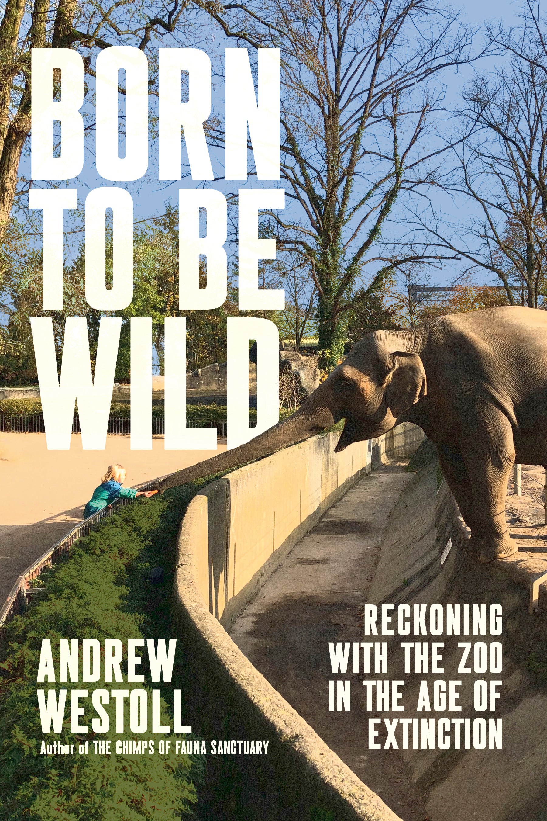Born to Be Wild