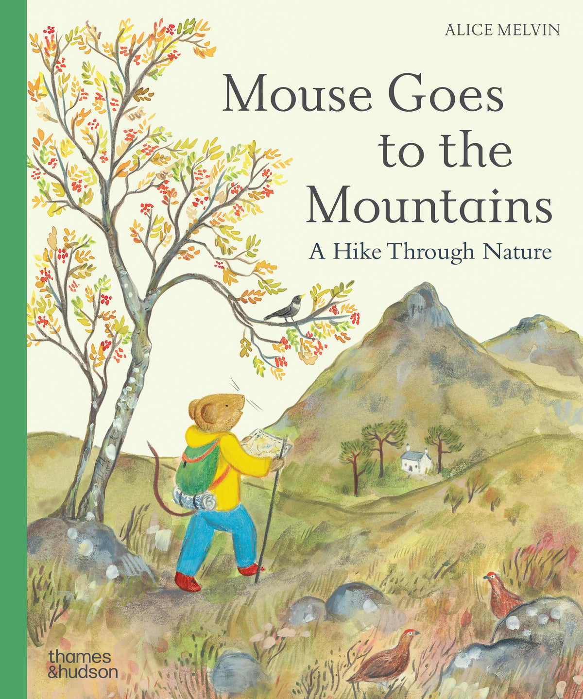 Mouse Goes to the Mountains