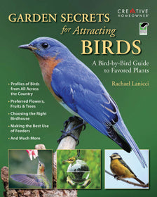 Garden Secrets for Attracting Birds