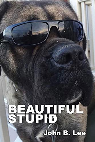 Beautiful Stupid