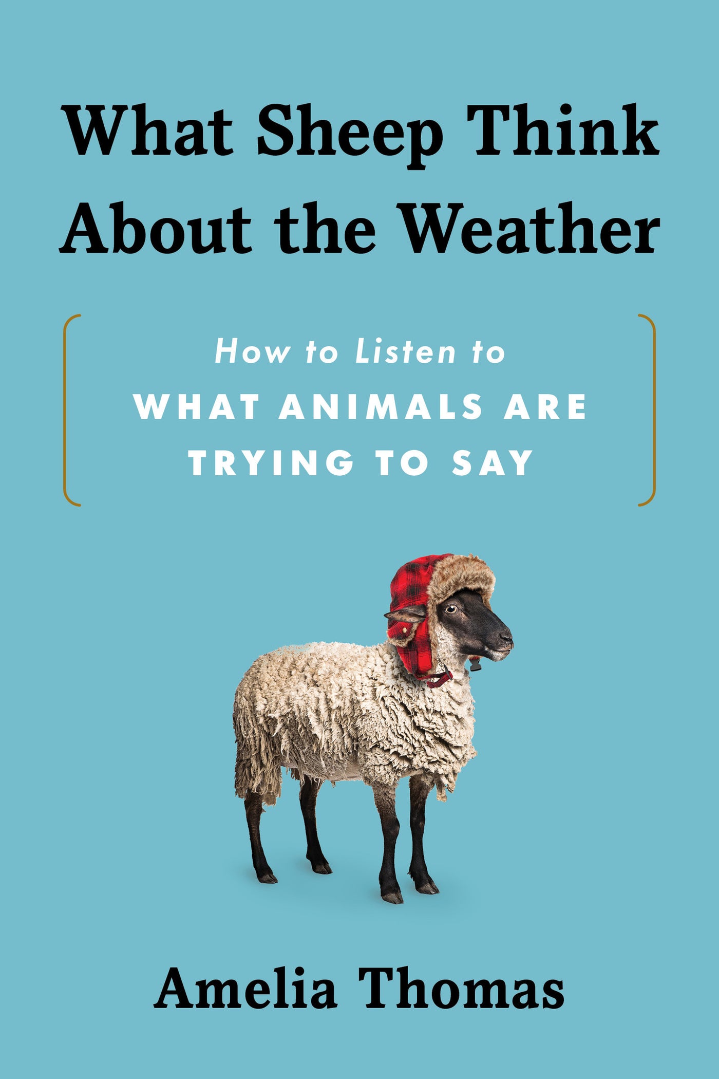 What Sheep Think About the Weather