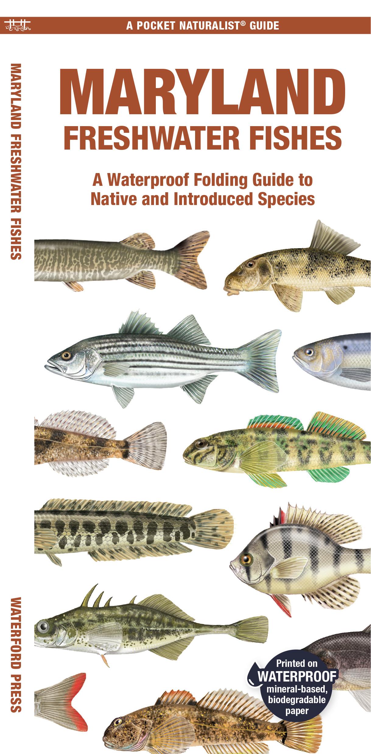 Maryland Freshwater Fishes