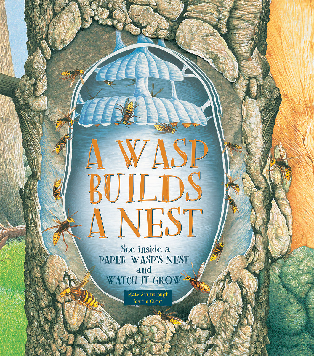 A Wasp Builds a Nest