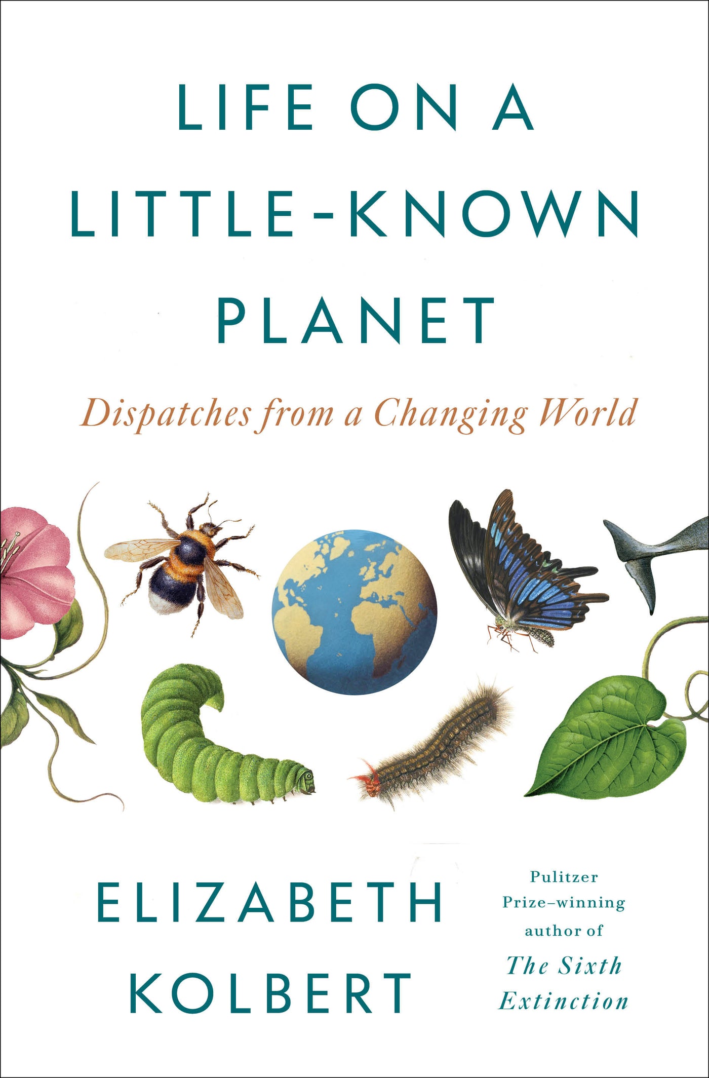 Life on a Little-Known Planet