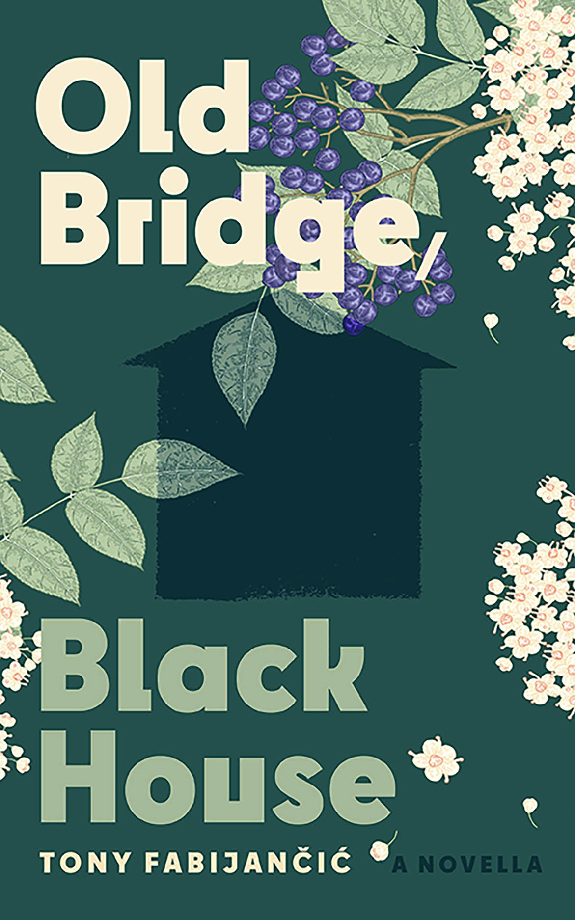 Old Bridge, Black House
