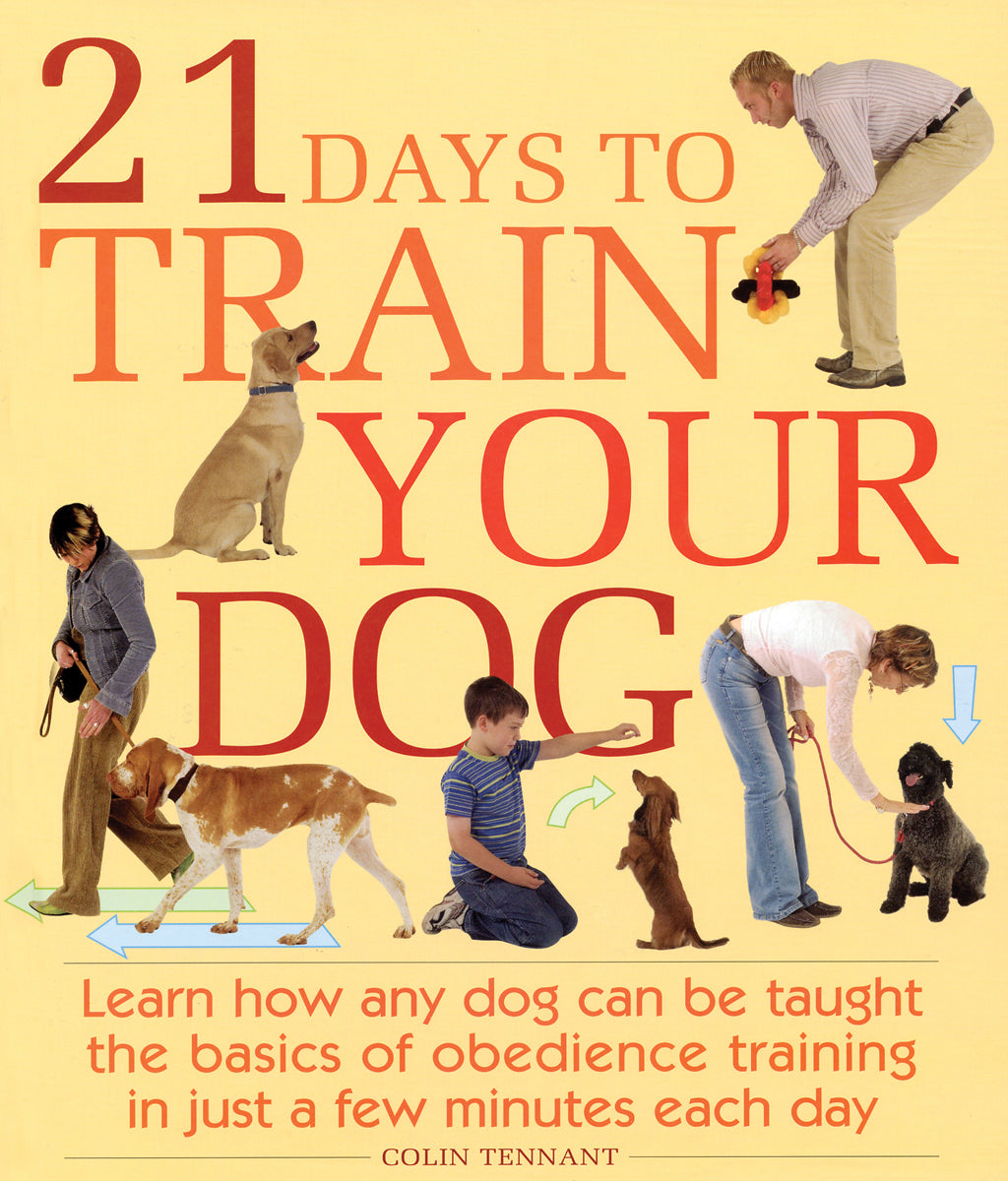 21 Days to Train Your Dog