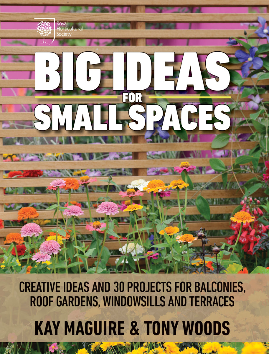 Big Ideas for Small Spaces