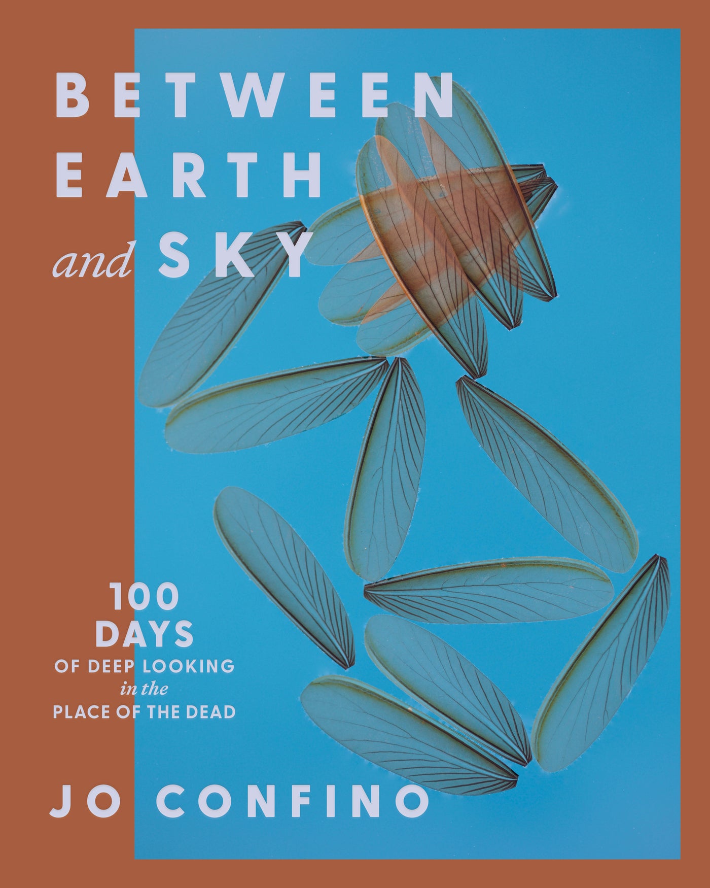Between Earth and Sky