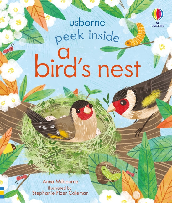 Peek Inside a Bird's Nest