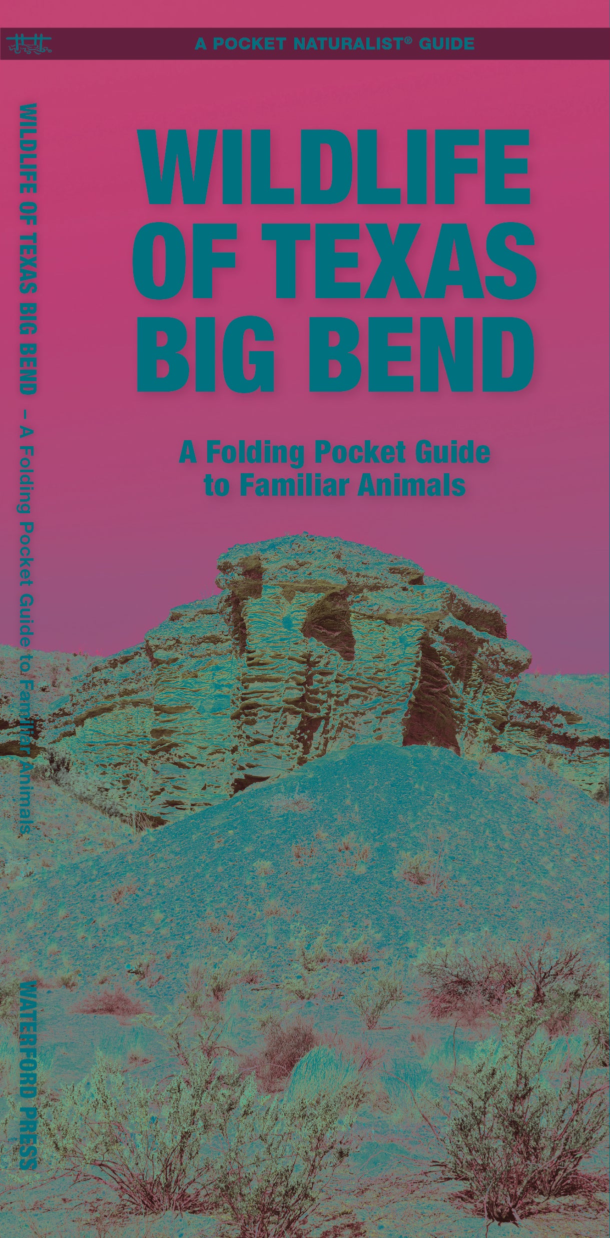 Wildlife of Texas Big Bend
