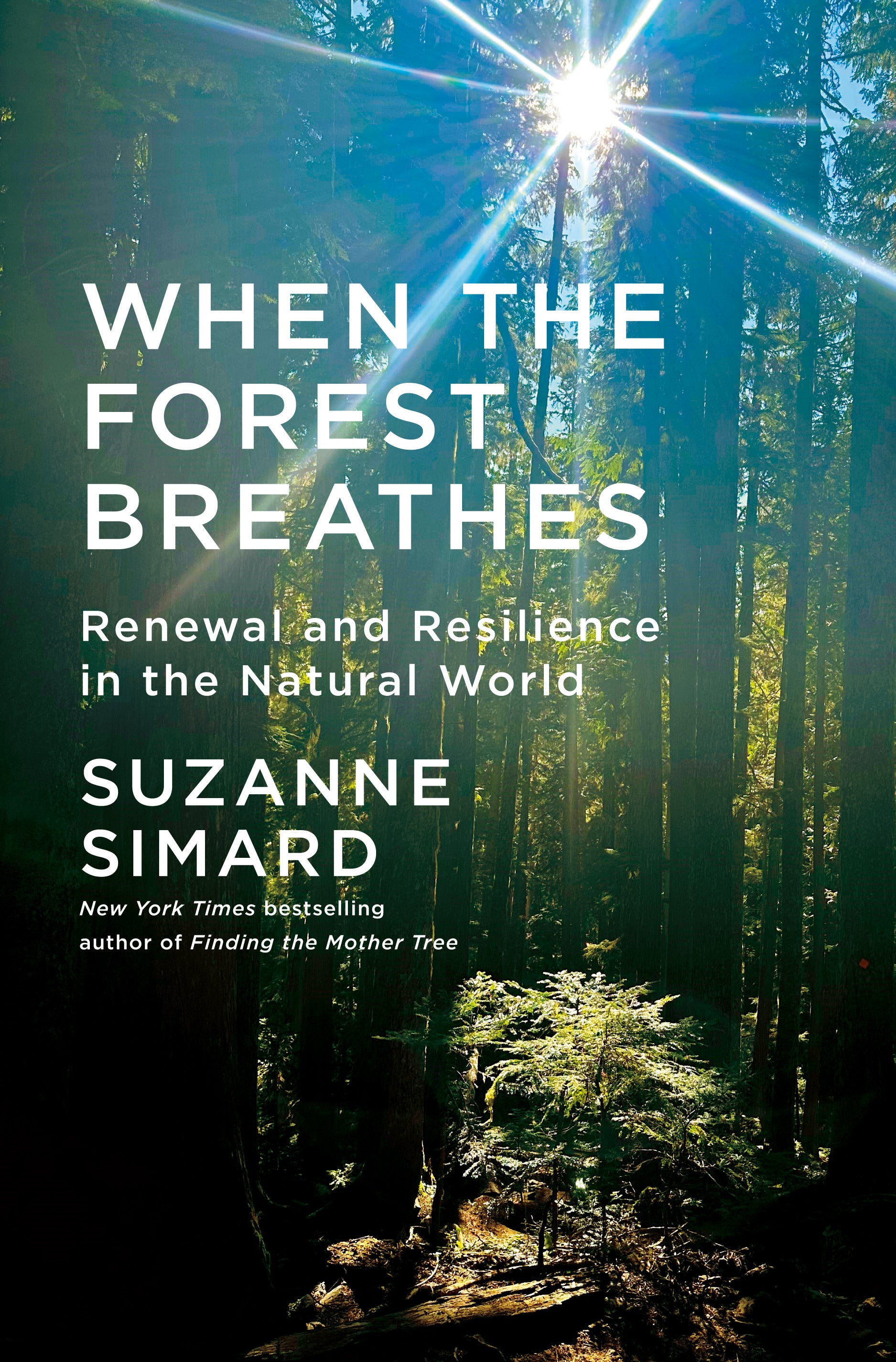 When the Forest Breathes