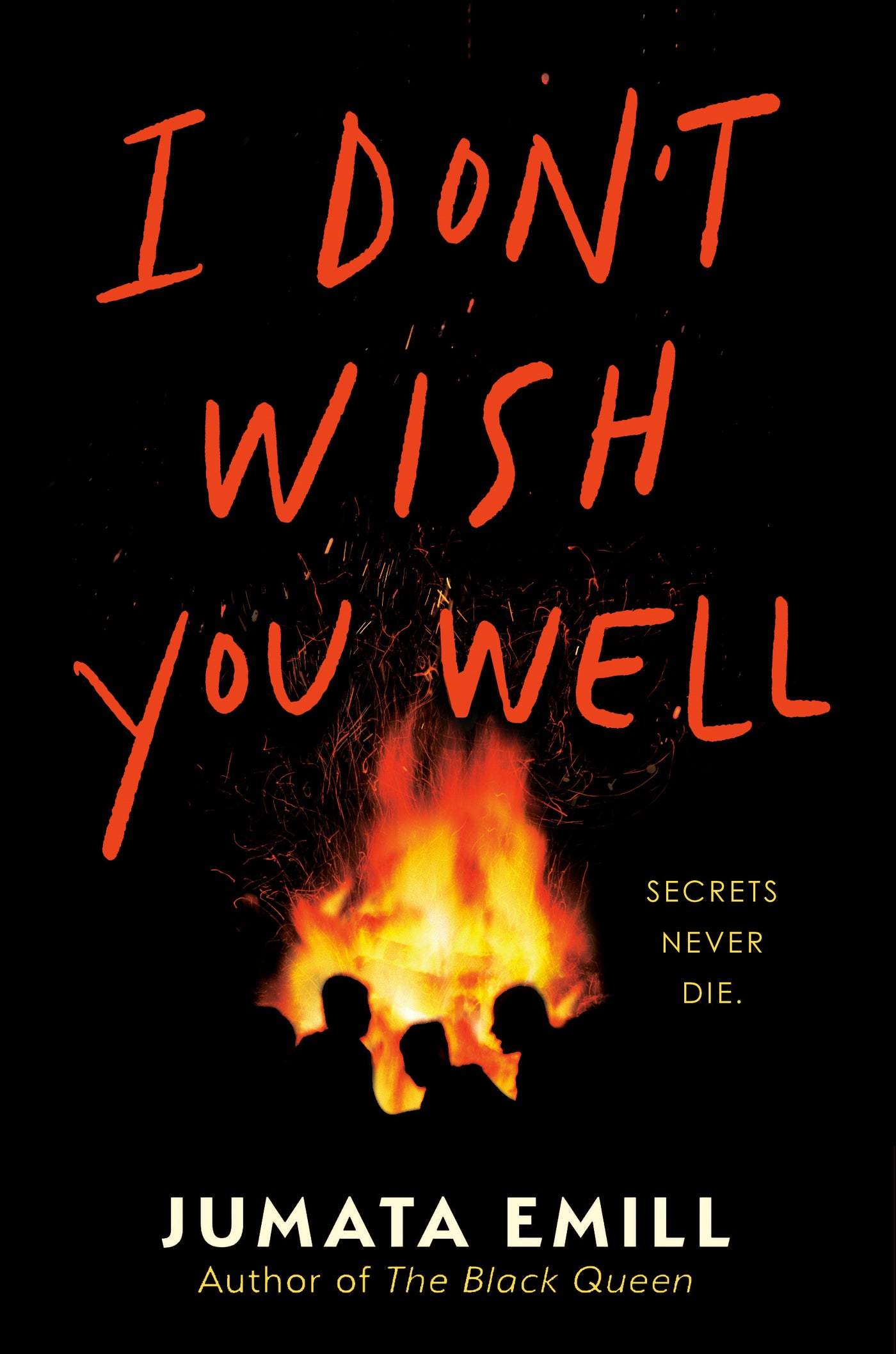 I Don't Wish You Well