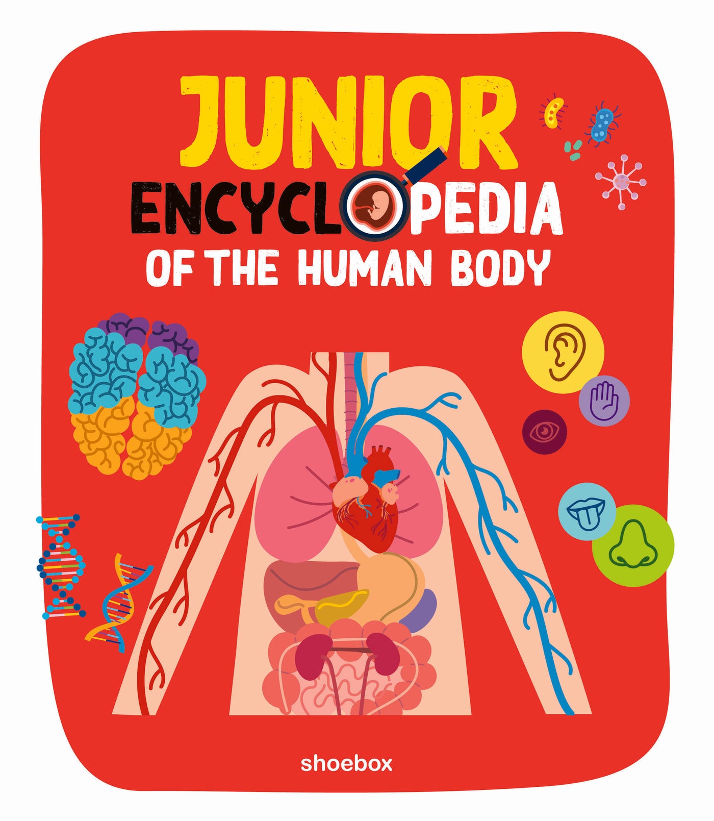 Junior Encyclopedia Of Human Body