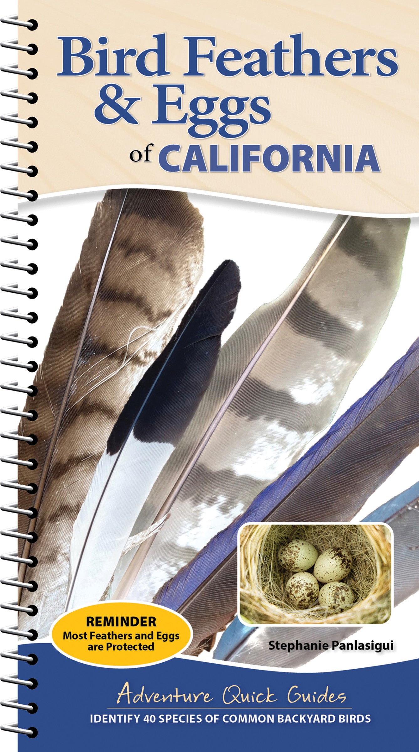 Bird Feathers &amp; Eggs of California