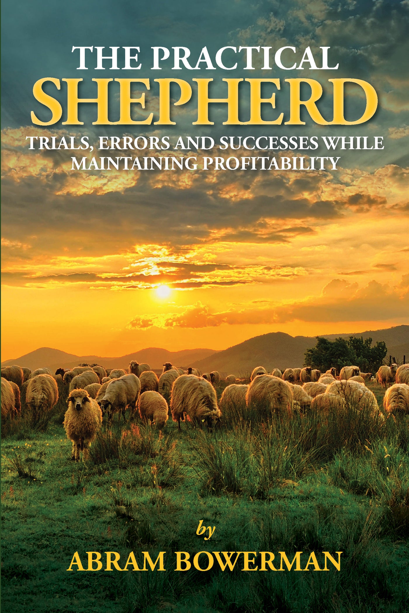 The Practical Shepherd