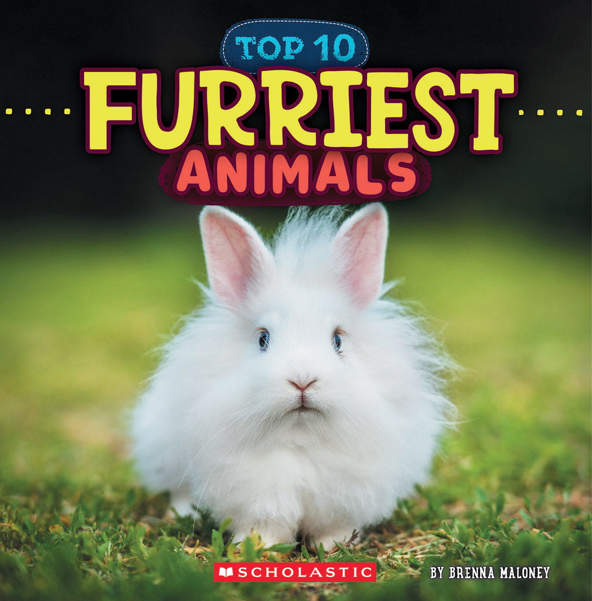 Furriest Animals (Wild World: Top 10)