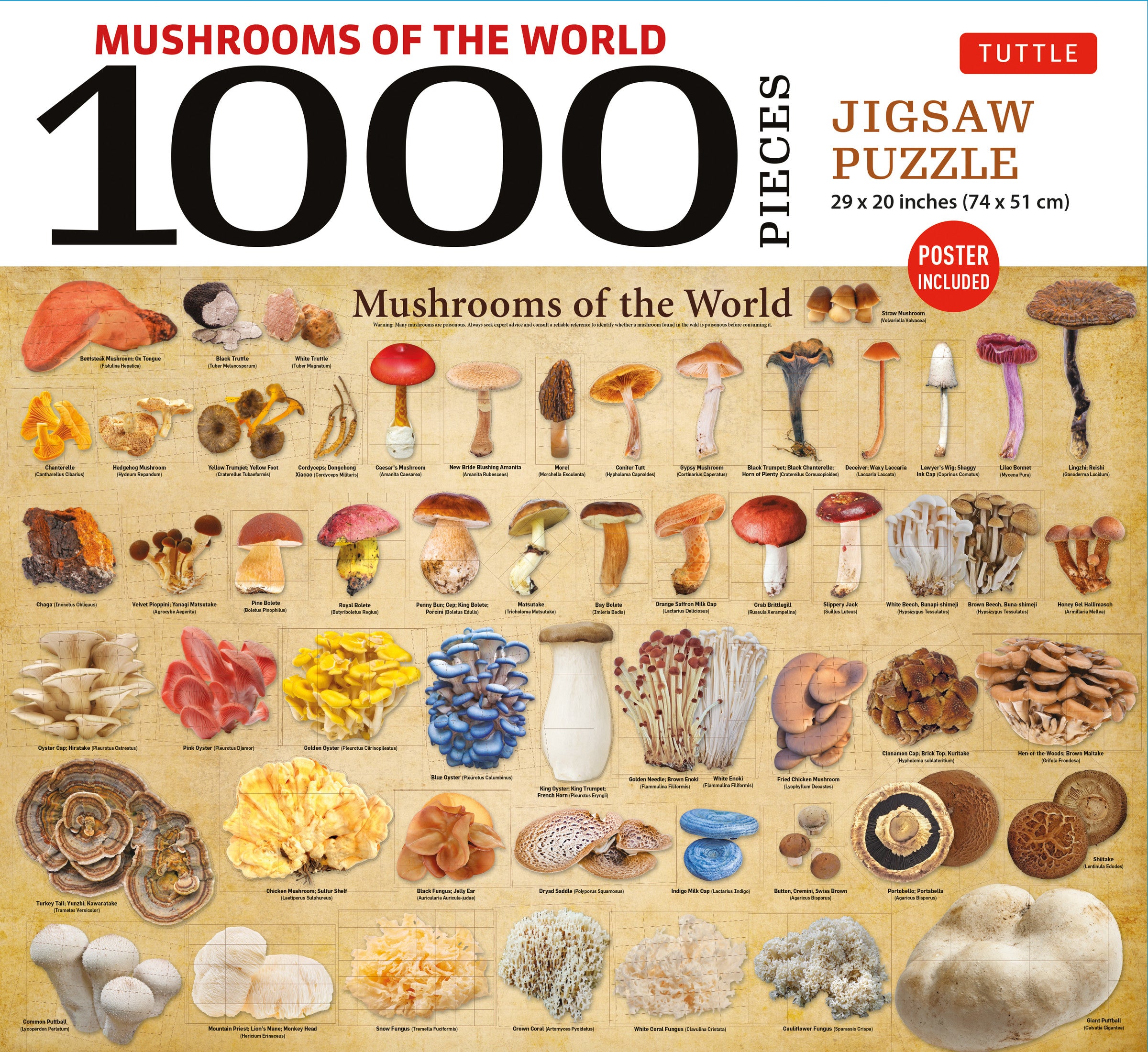 Mushrooms of the World - 1000 Piece Jigsaw Puzzle