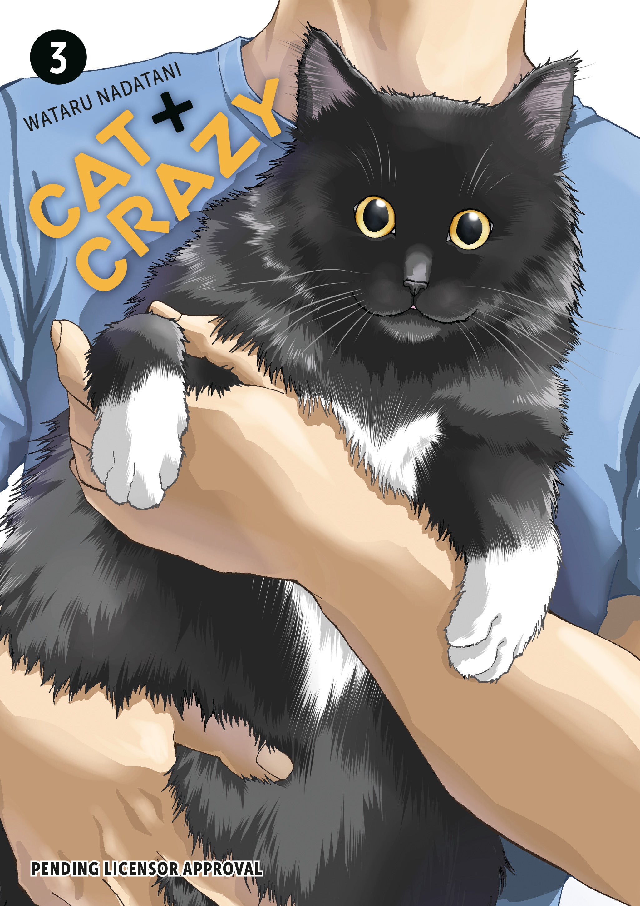 Cat + Crazy Volume 3