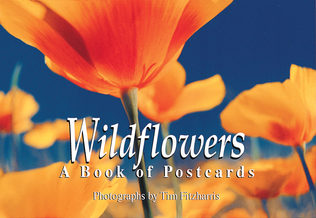Wildflowers