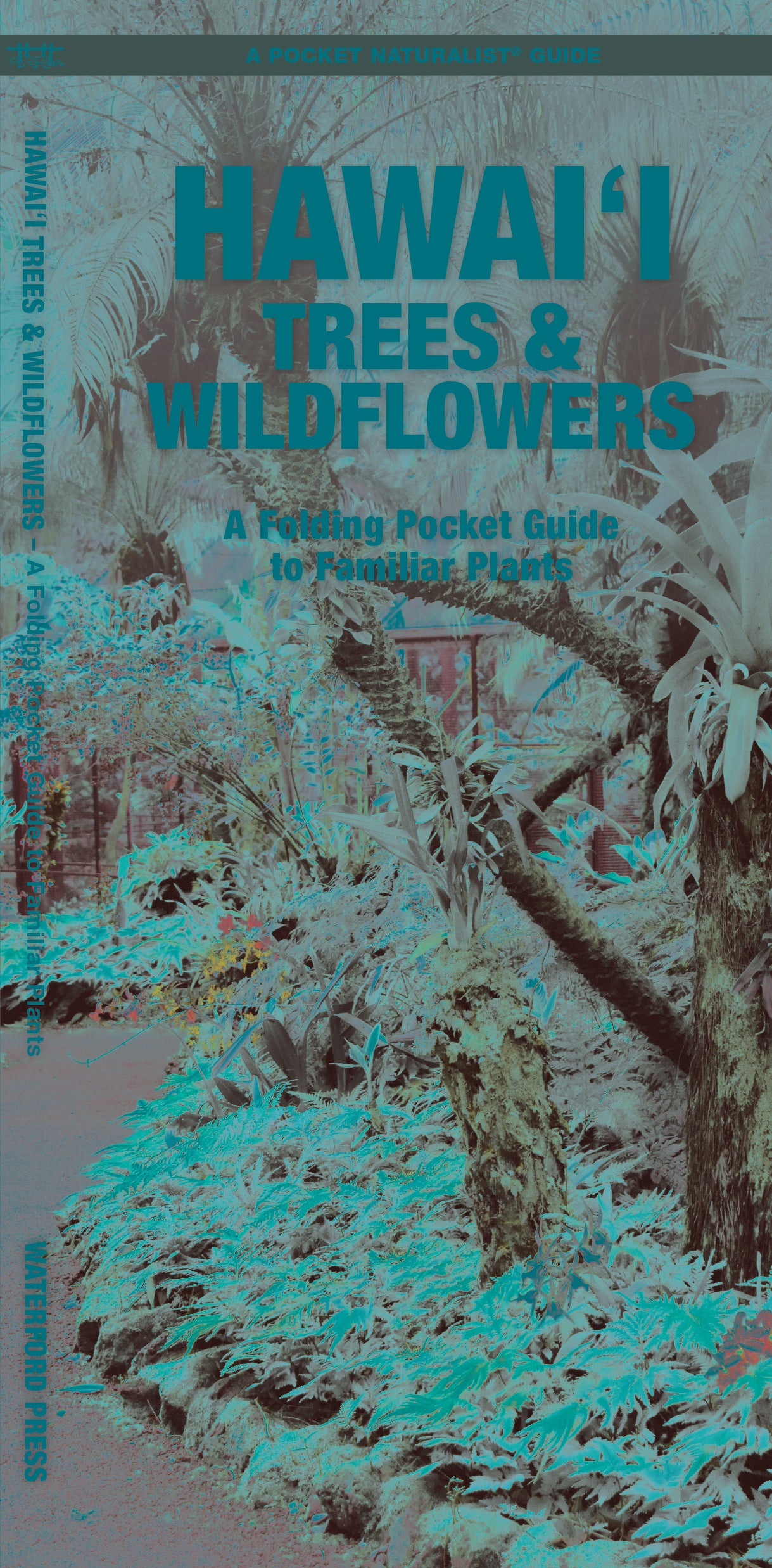 Hawai'i Trees &amp; Wildflowers