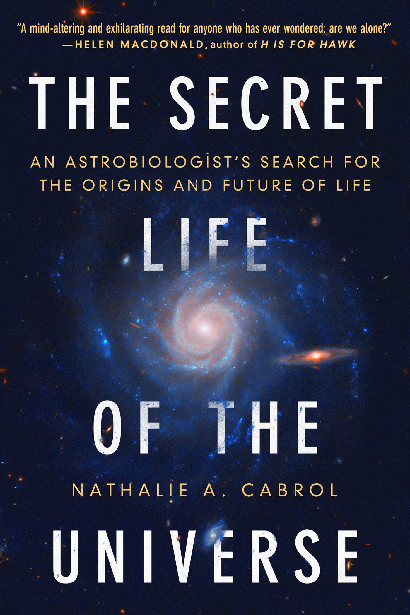 The Secret Life of the Universe