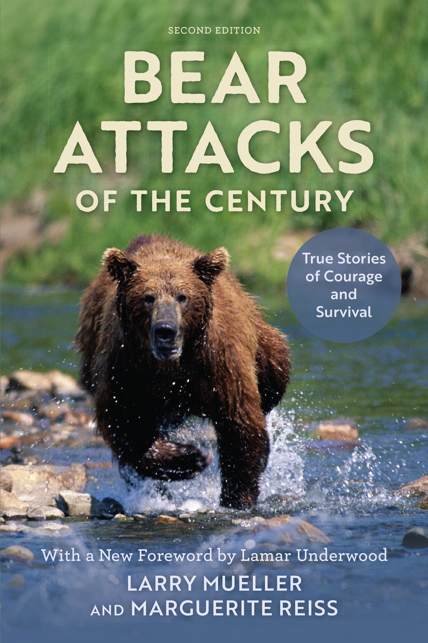 Bear Attacks of the Century