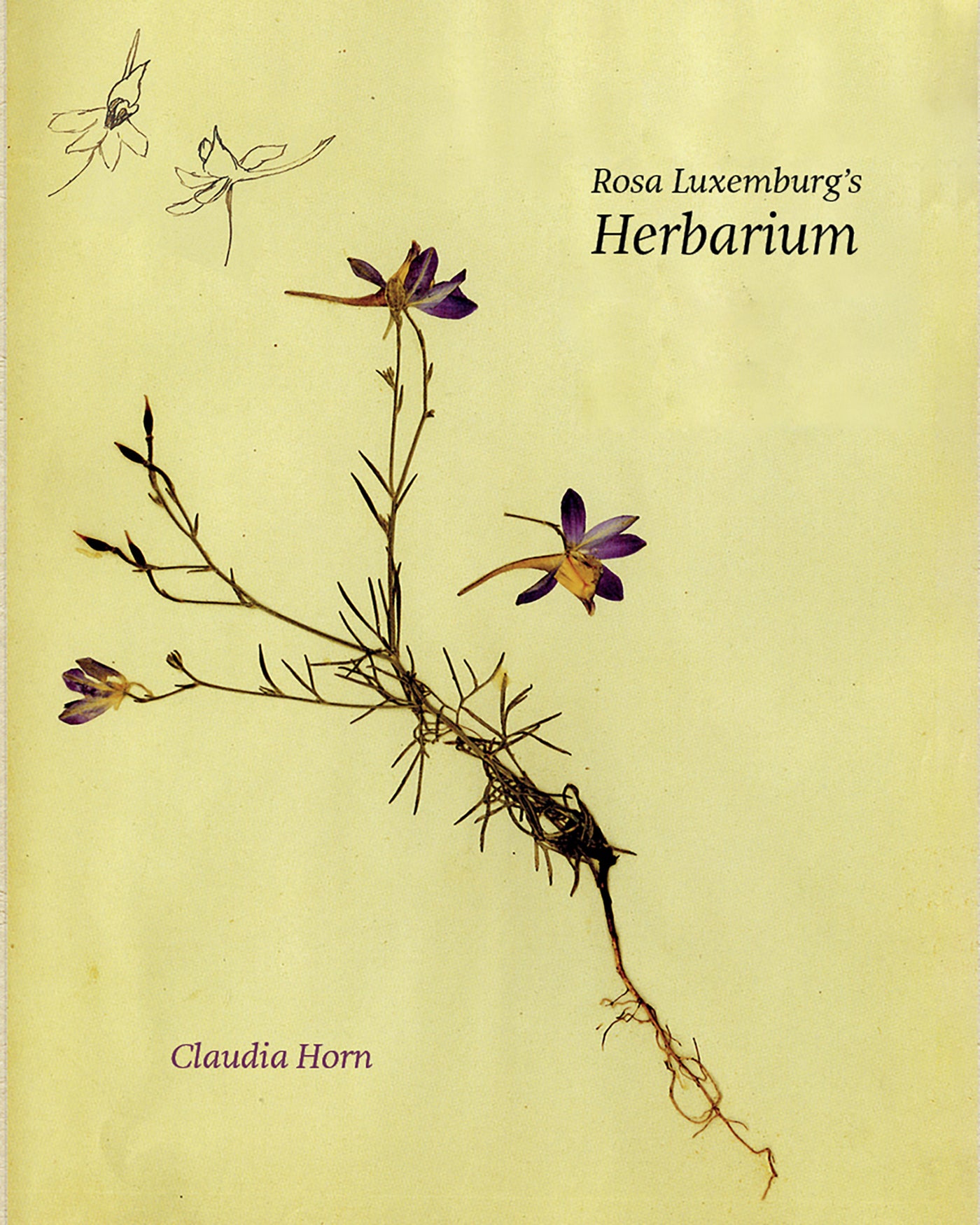 Rosa Luxemburg's Herbarium 