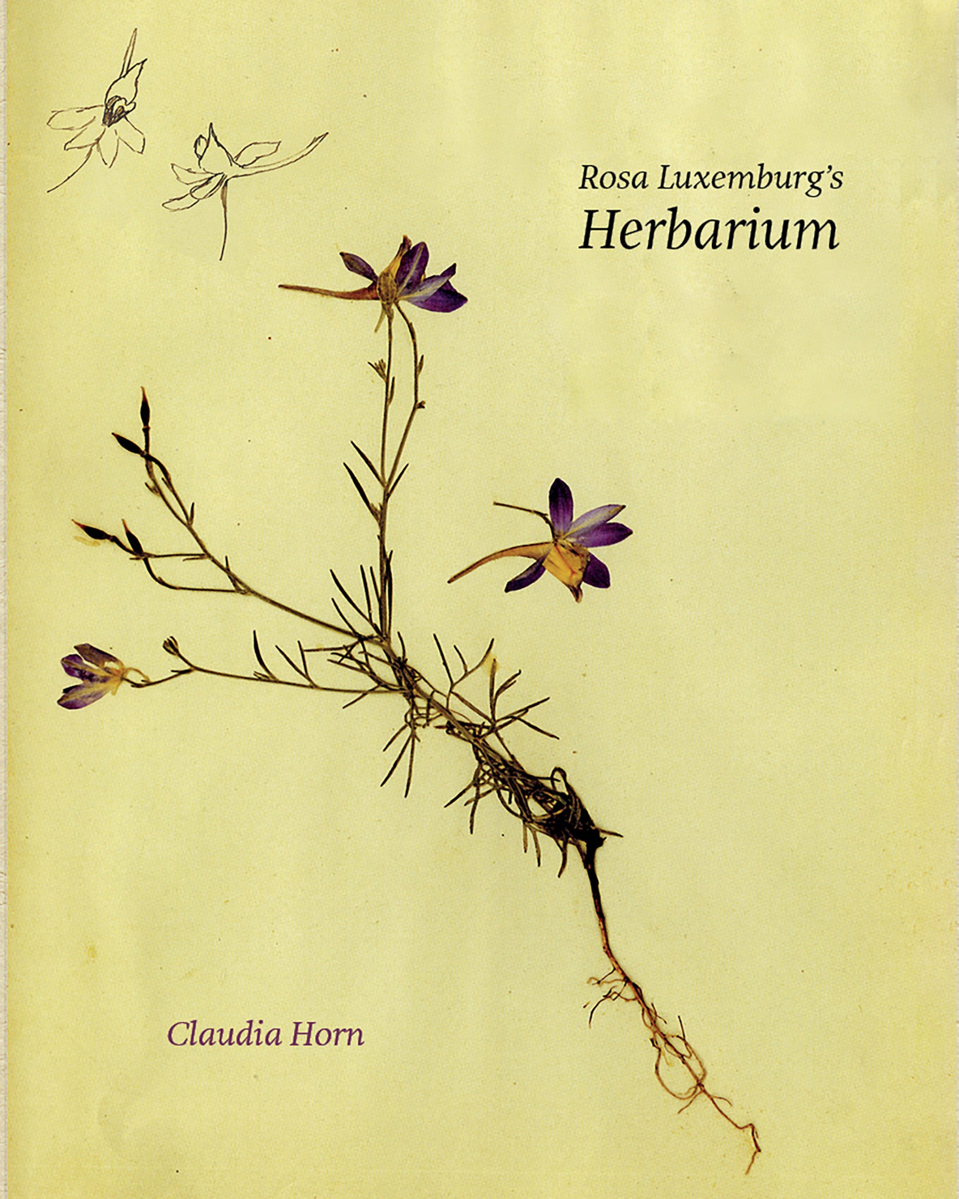 Rosa Luxemburg's Herbarium 