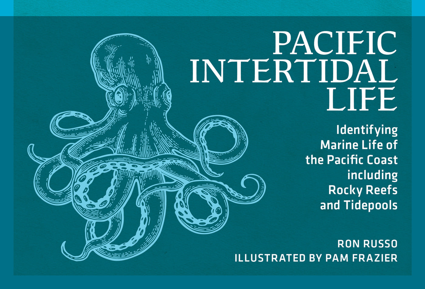 Pacific Intertidal Life