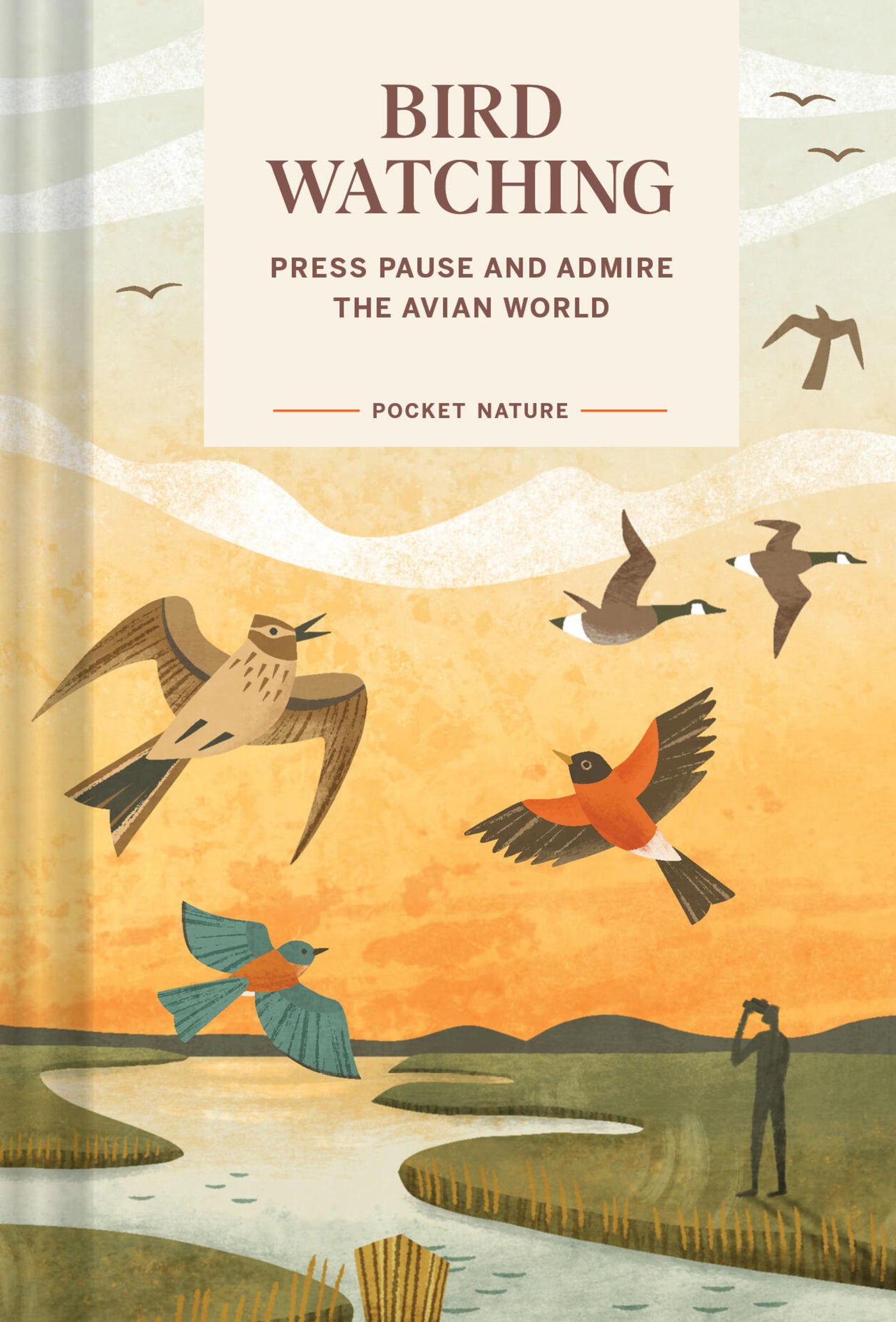 Pocket Nature: Bird-Watching