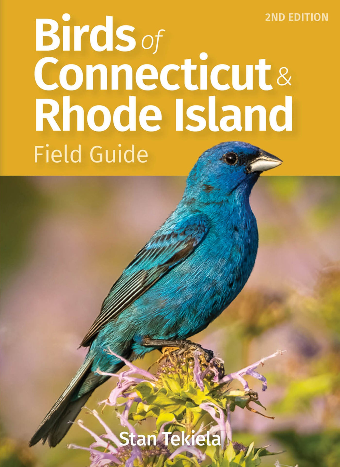 Birds of Connecticut &amp; Rhode Island Field Guide