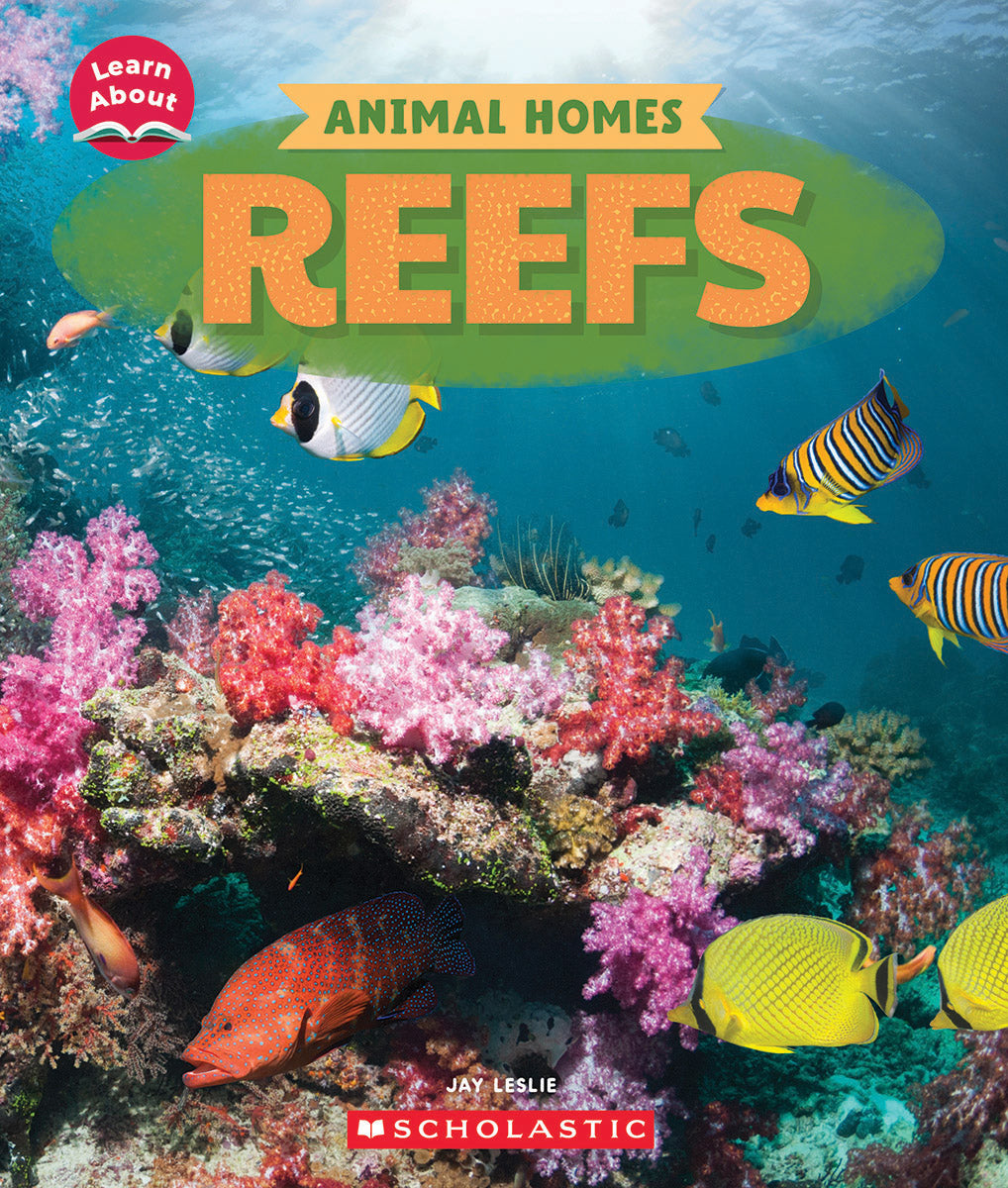 Reefs (Learn About: Animal Homes)