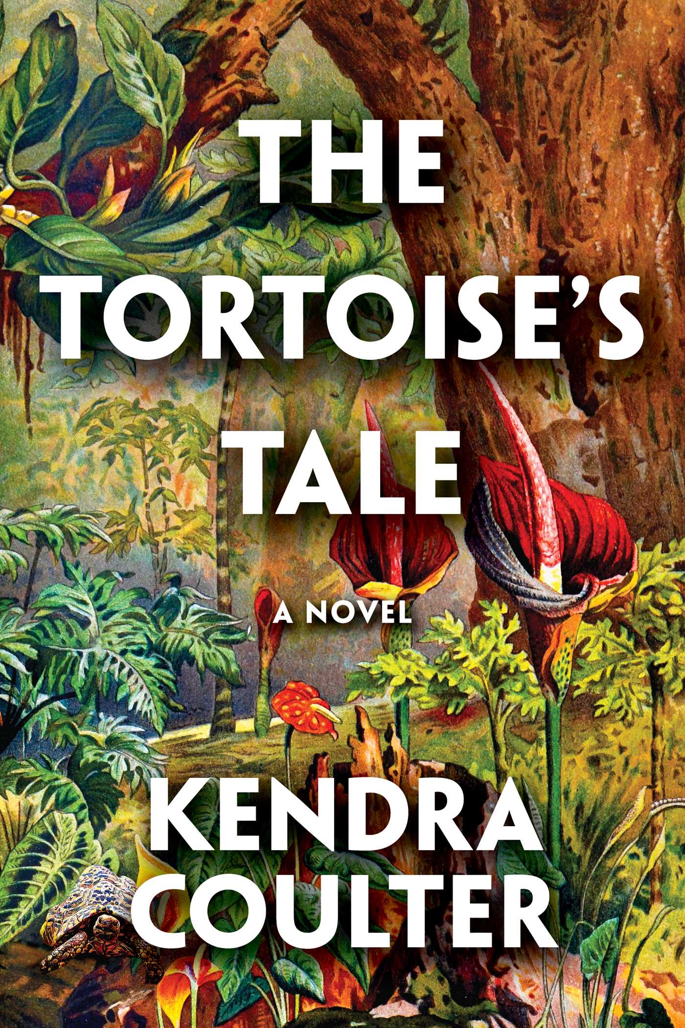 The Tortoise's Tale