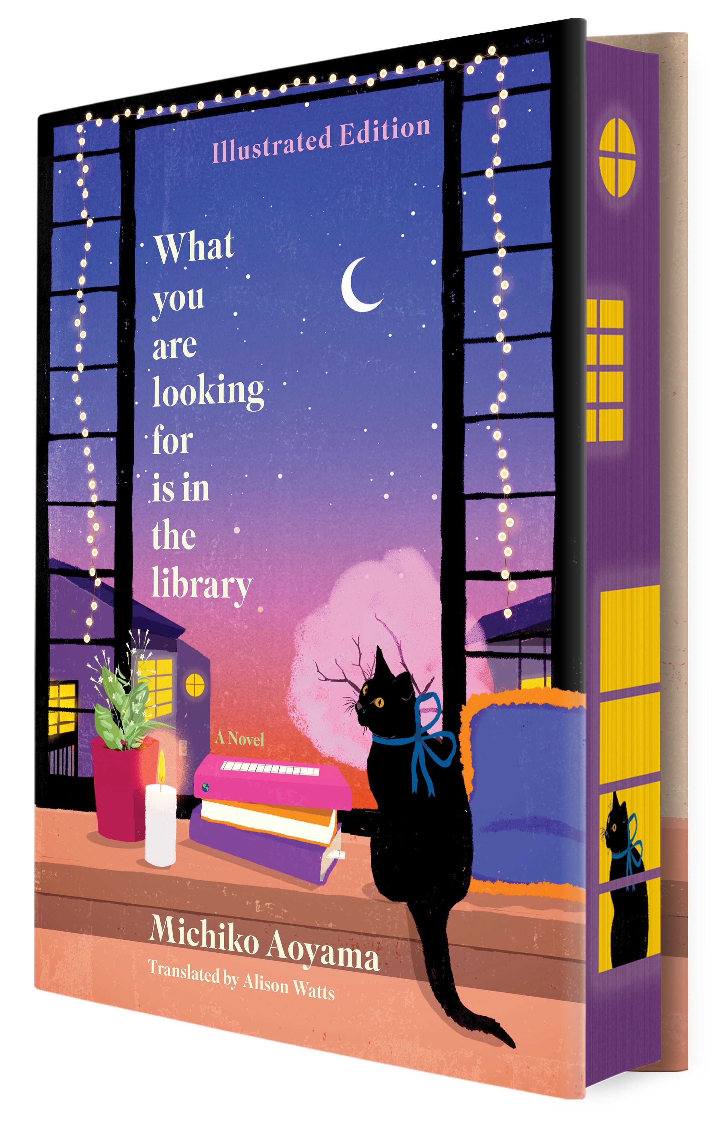 What You Are Looking For Is in the Library Illustrated Edition