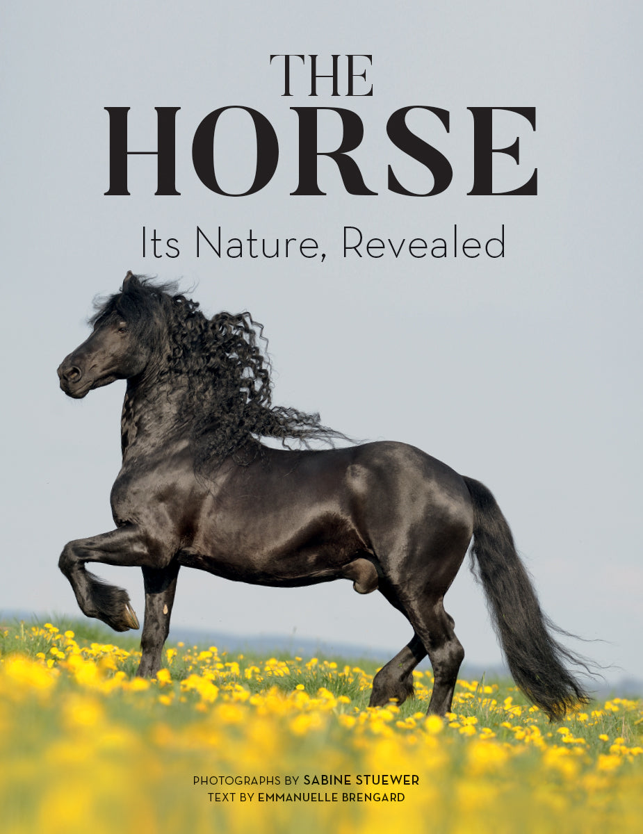 The Horse