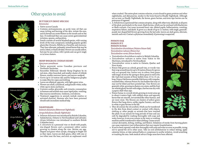 Medicinal Herbs of Canada