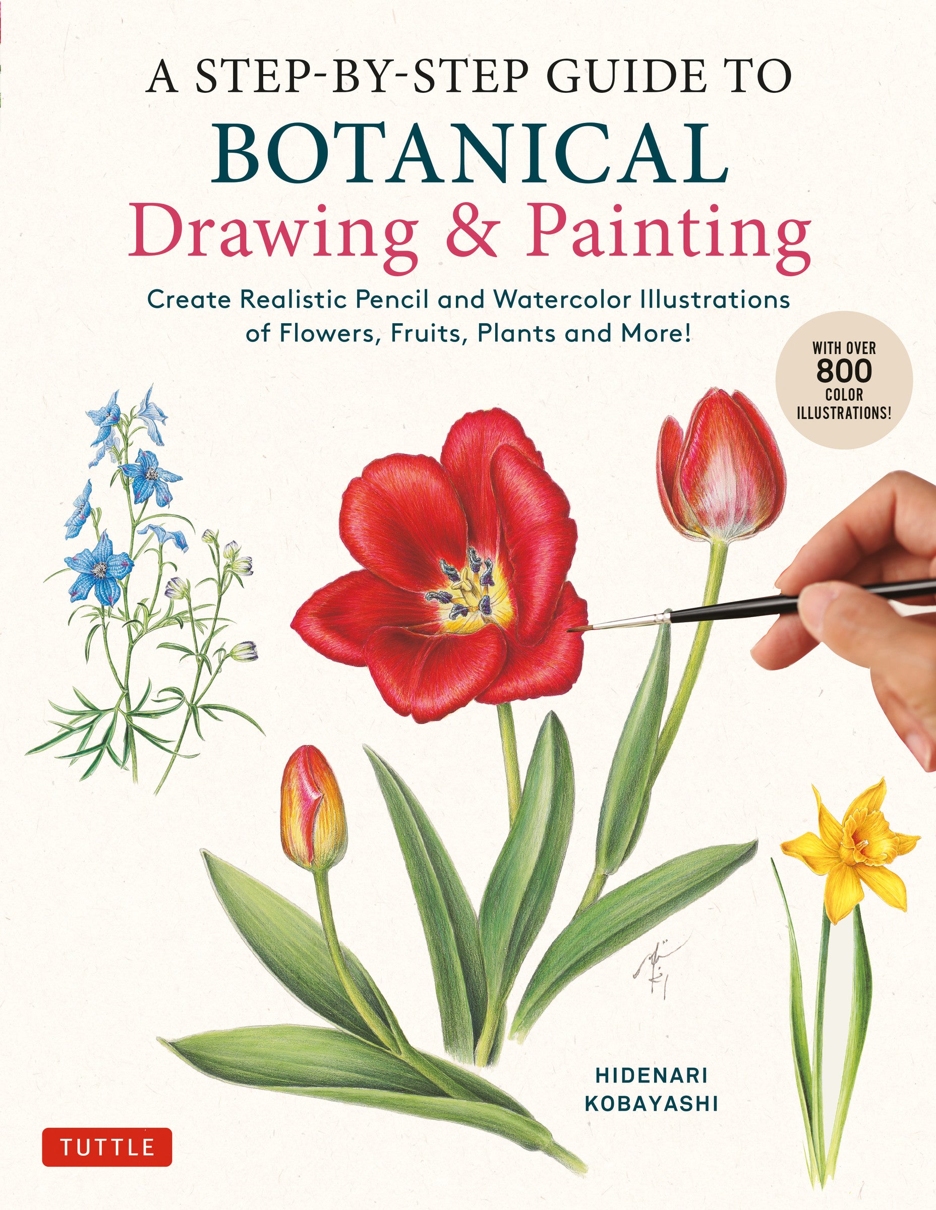 A Step-by-Step Guide to Botanical Drawing &amp; Painting