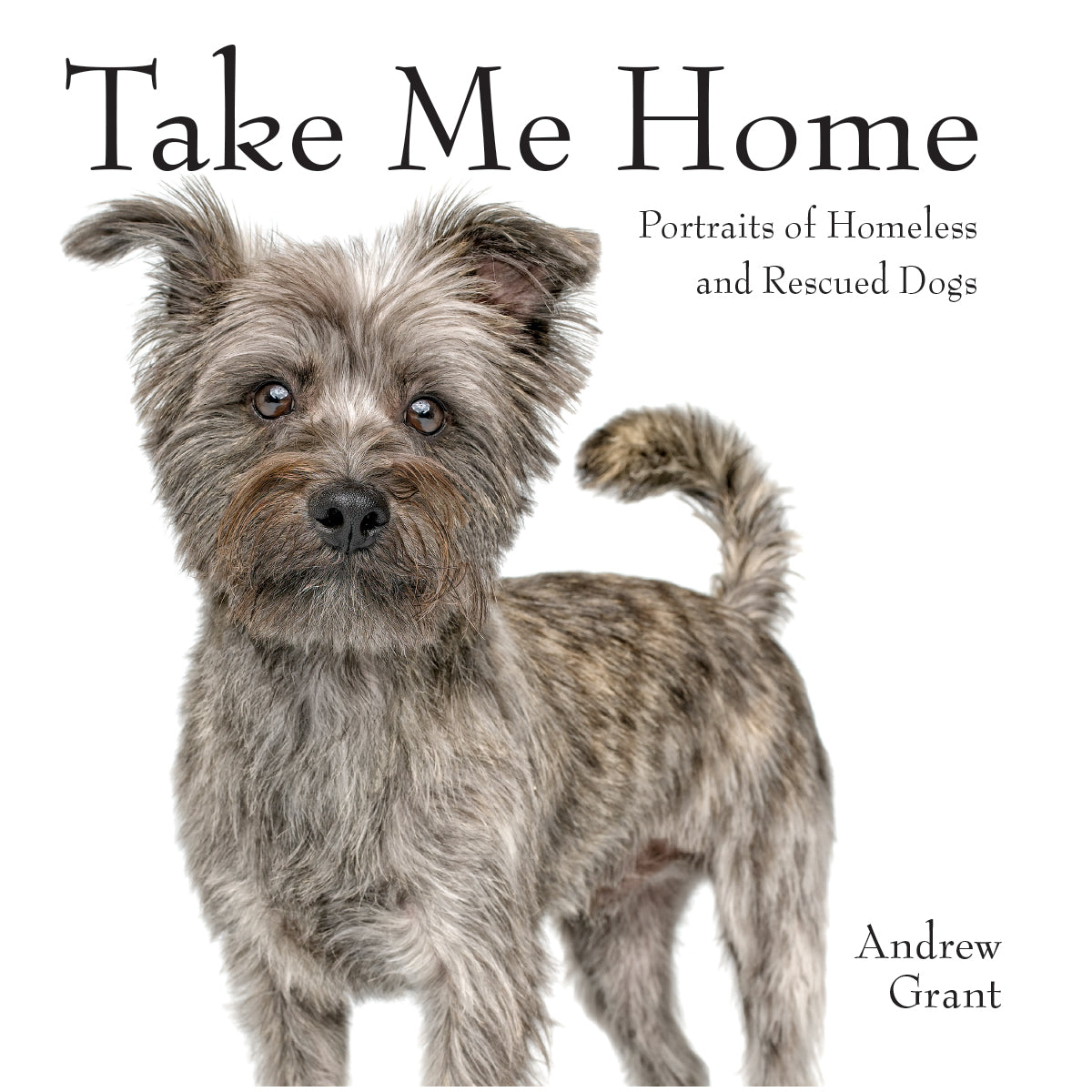 Take Me Home
