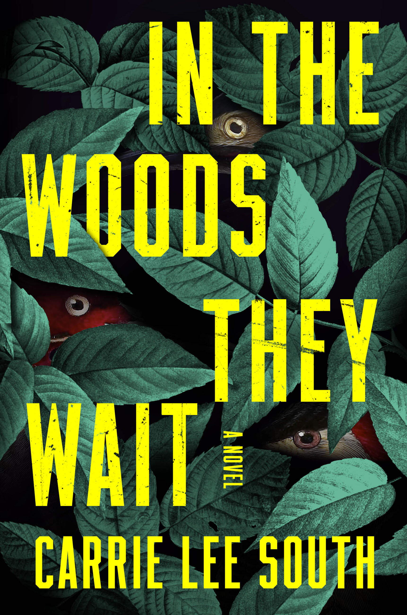In the Woods They Wait