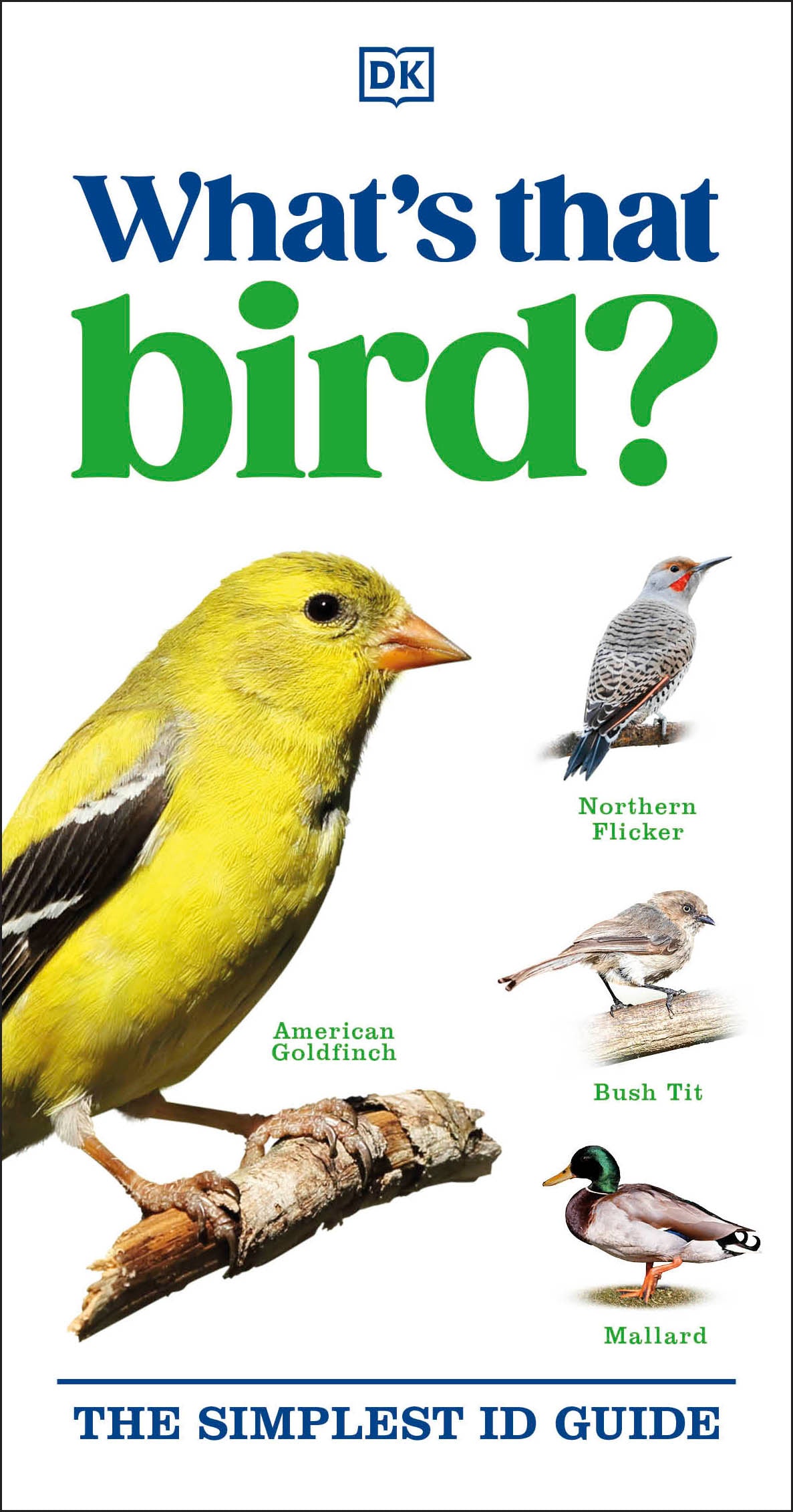 What's that Bird?