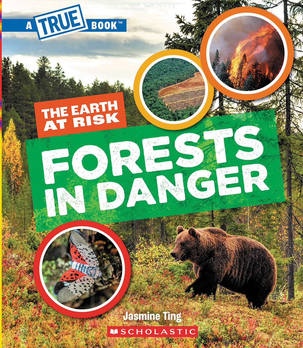 Forests in Danger (A True Book: The Earth at Risk)
