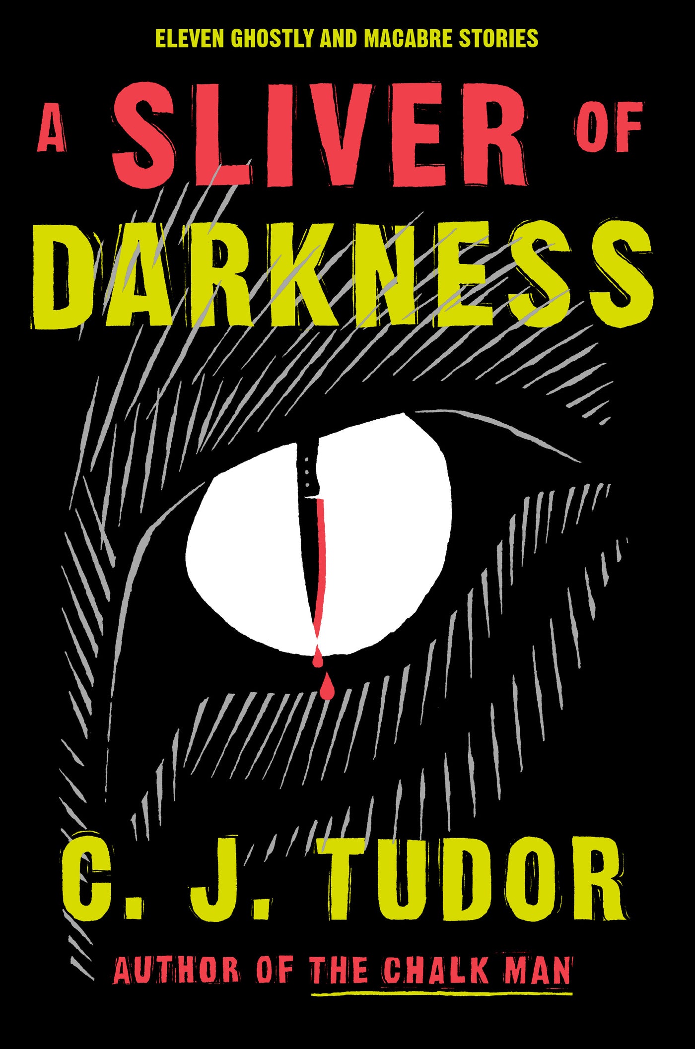 A Sliver of Darkness