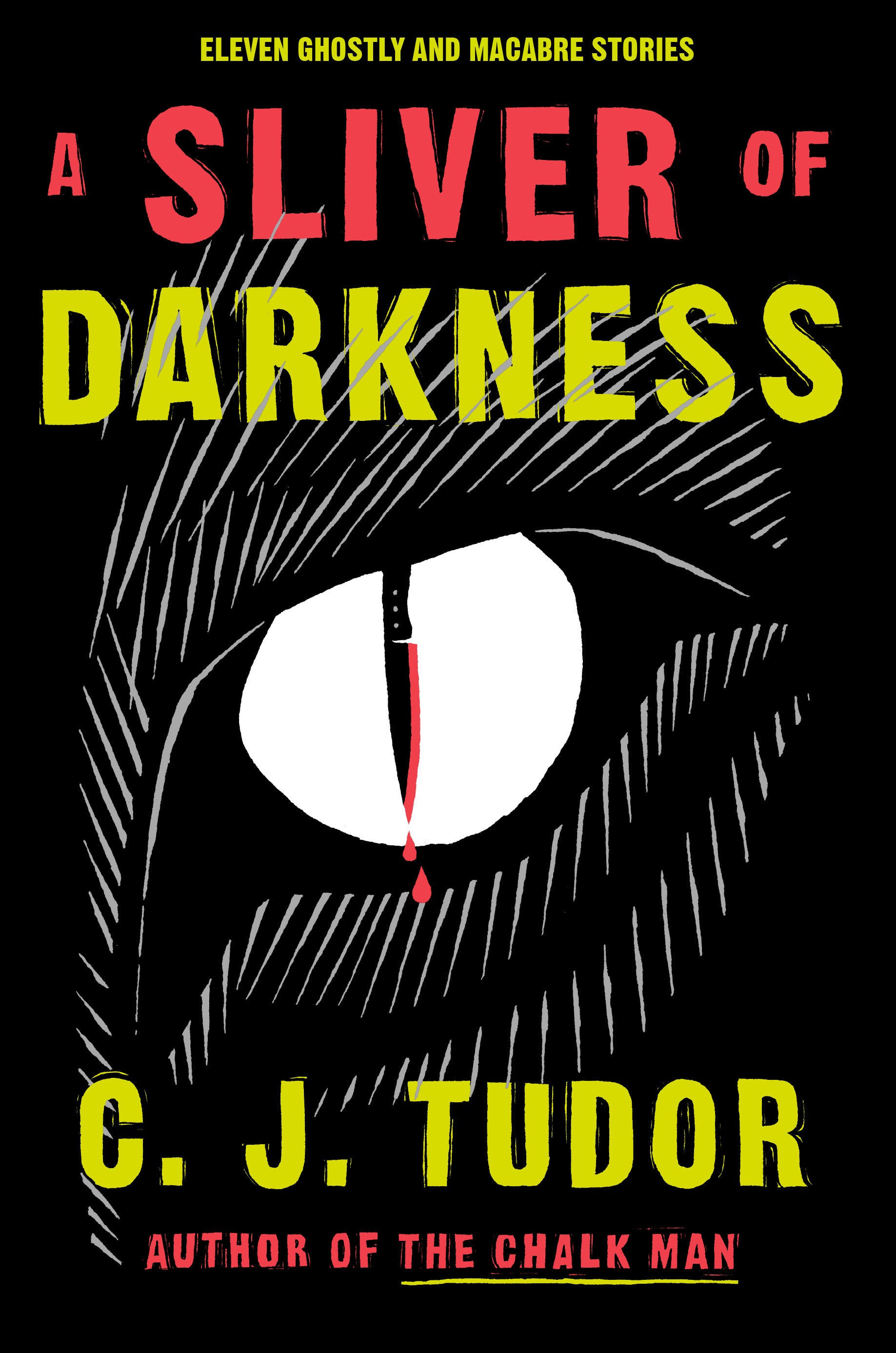 A Sliver of Darkness