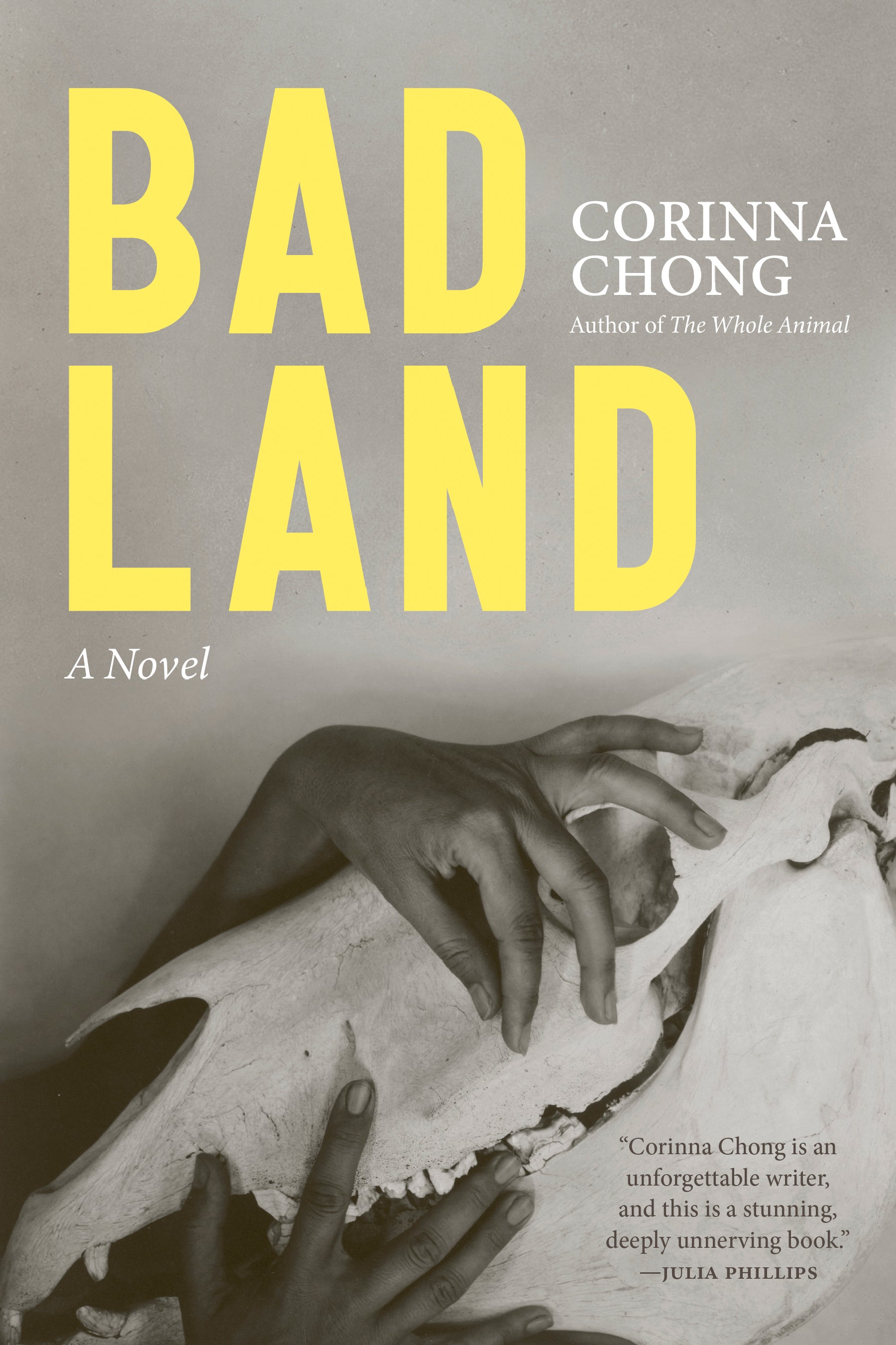 Bad Land
